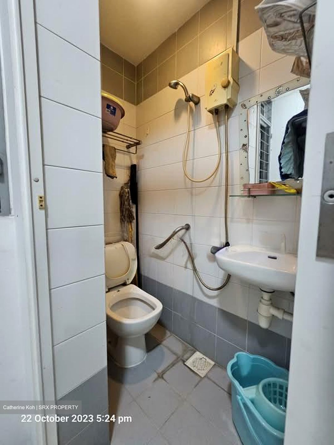 Lakeholmz (D22), Condominium #574010091